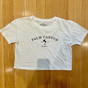 Hollister White Tee with Palm Canyon Graphic